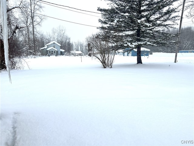 view of yard covered in snow