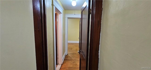 hallway featuring hardwood / wood-style floors