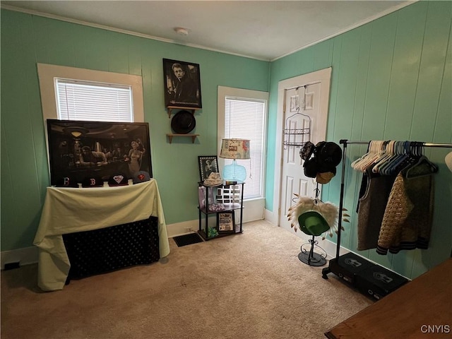 miscellaneous room featuring wooden walls, ornamental molding, and carpet flooring