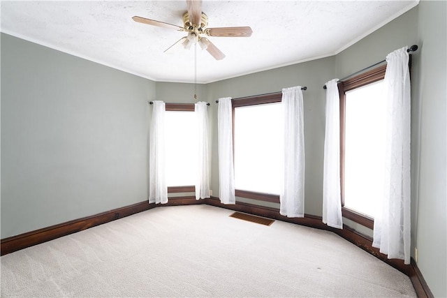 spare room featuring ceiling fan and carpet floors