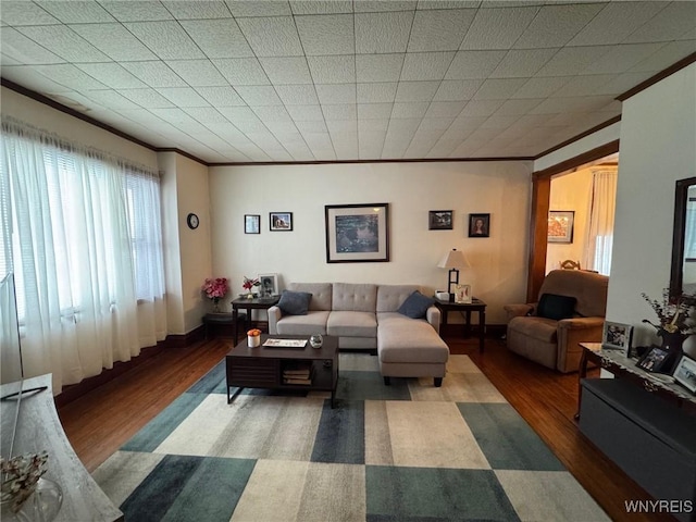 living room with ornamental molding and hardwood / wood-style flooring