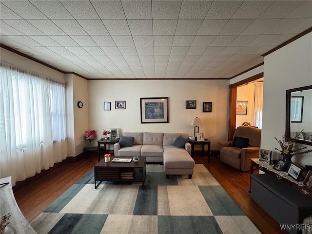 living room with ornamental molding and hardwood / wood-style flooring