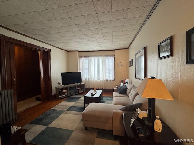 living room featuring radiator and crown molding