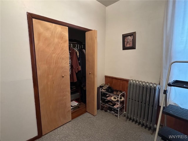 bedroom with carpet, radiator, and a closet