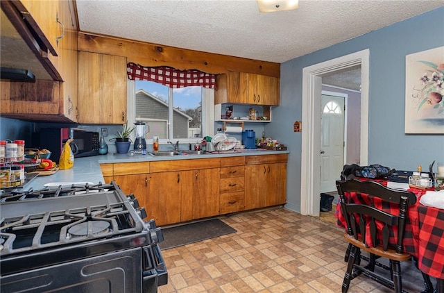 kitchen with a textured ceiling, ventilation hood, black appliances, and sink