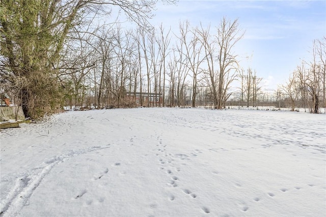 view of yard covered in snow