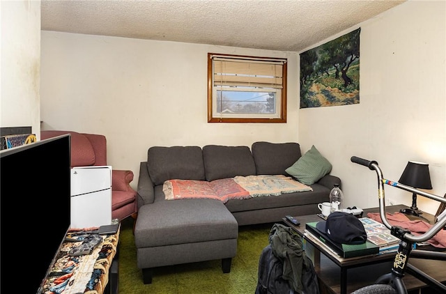 carpeted living room with a textured ceiling