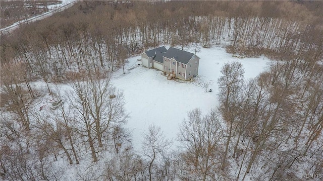 view of snowy aerial view