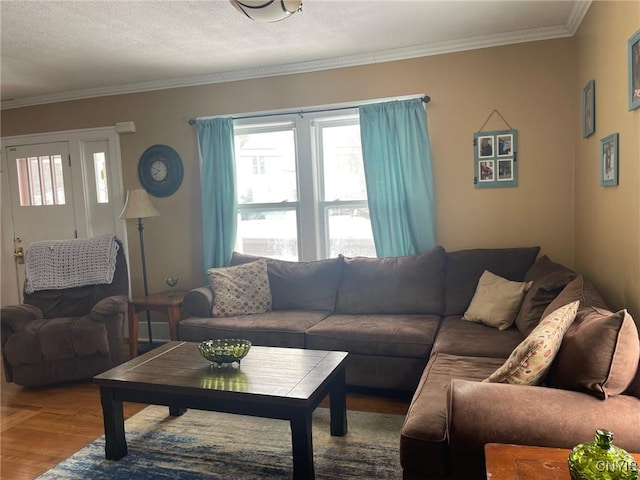 living room with ornamental molding and a textured ceiling