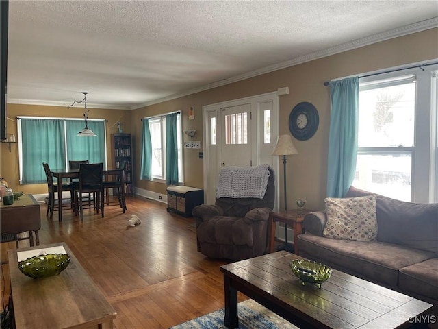 living room featuring a textured ceiling, crown molding, and hardwood / wood-style flooring