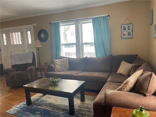 living room with wood-type flooring and ornamental molding