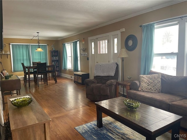 living room featuring crown molding, a textured ceiling, and hardwood / wood-style flooring