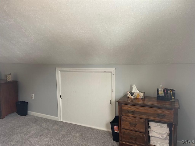 additional living space featuring a textured ceiling and carpet