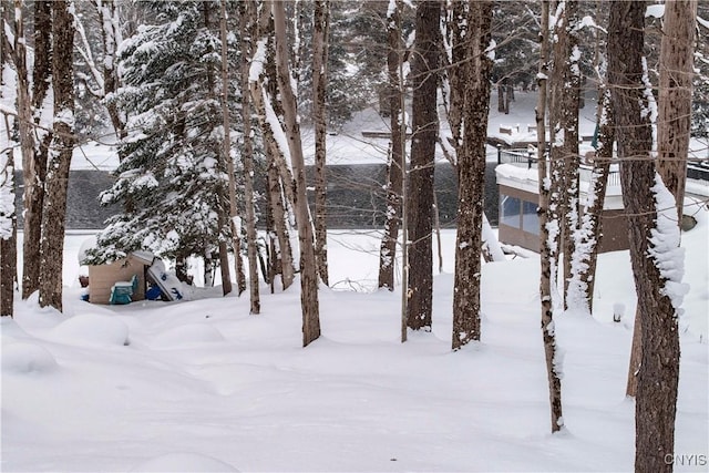 view of yard covered in snow