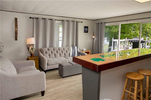 living room featuring light hardwood / wood-style flooring