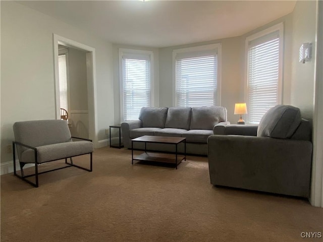 carpeted living room with plenty of natural light