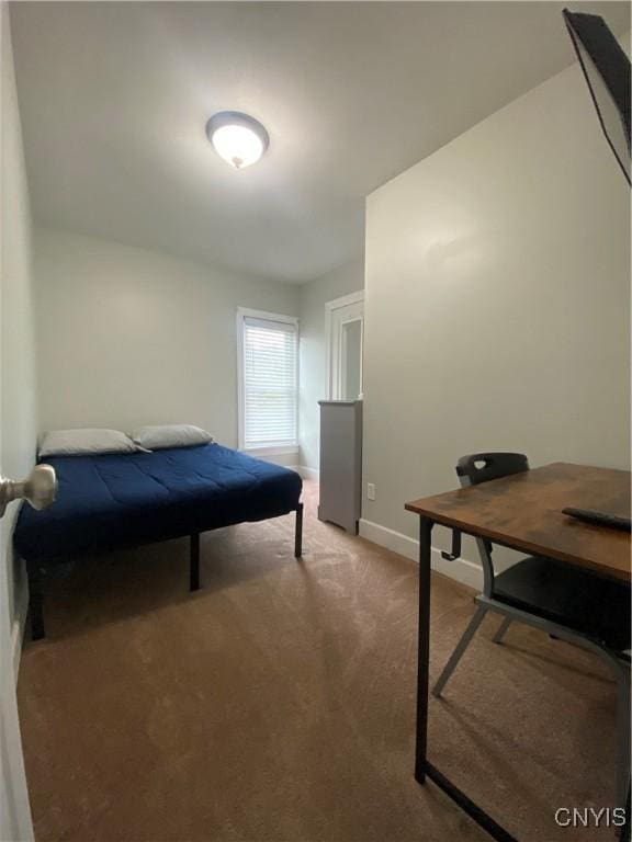 bedroom featuring carpet floors