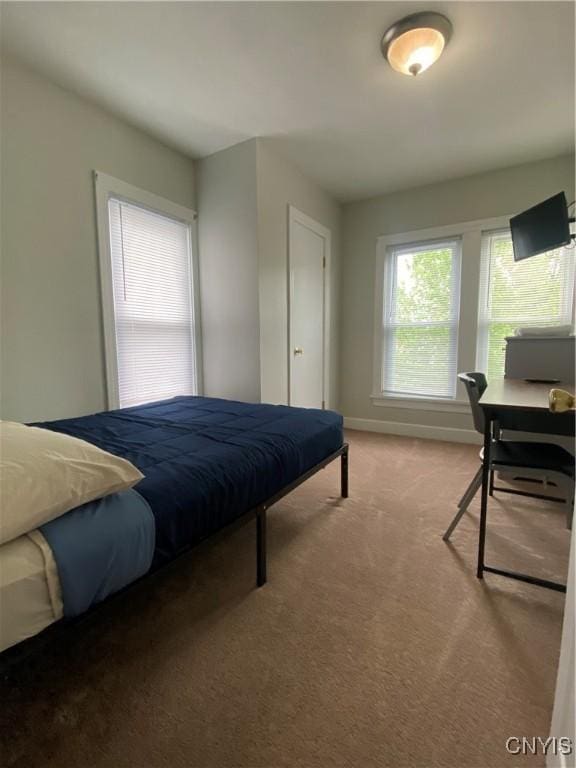 view of carpeted bedroom