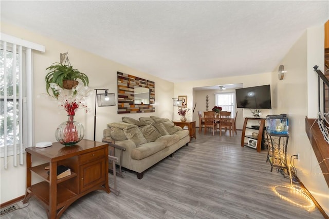 living room with hardwood / wood-style floors