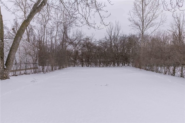 view of yard covered in snow