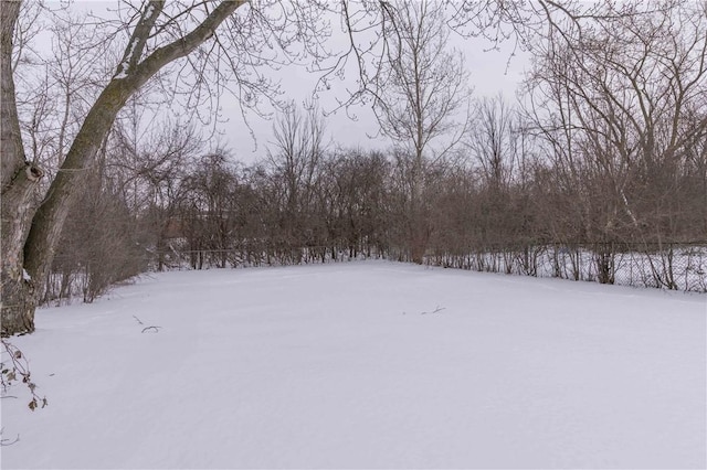 view of yard covered in snow