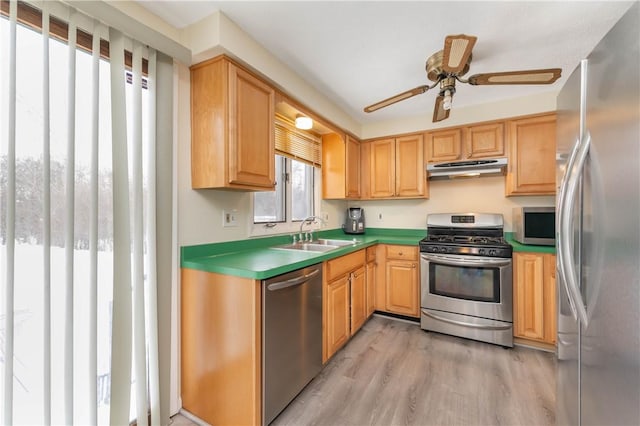 kitchen featuring ceiling fan, sink, appliances with stainless steel finishes, and light wood-type flooring