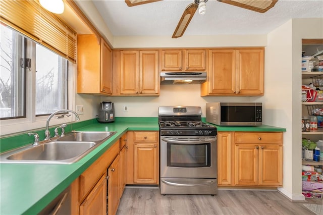 kitchen with ceiling fan, appliances with stainless steel finishes, sink, and light hardwood / wood-style flooring