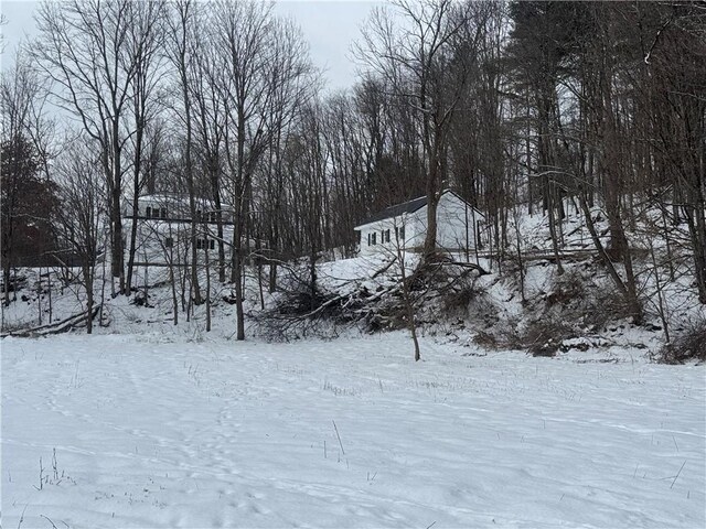 view of snowy yard