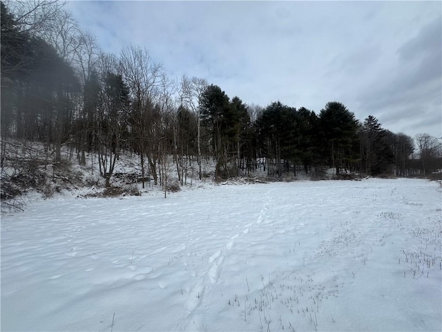 view of yard covered in snow