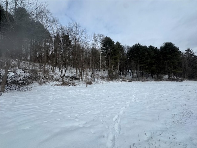 view of snowy yard