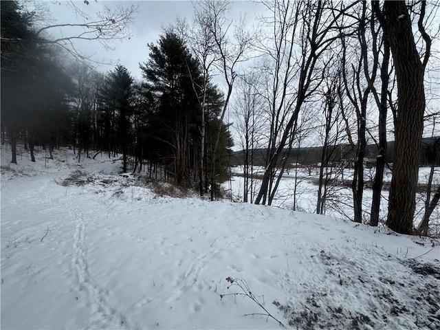 view of yard covered in snow