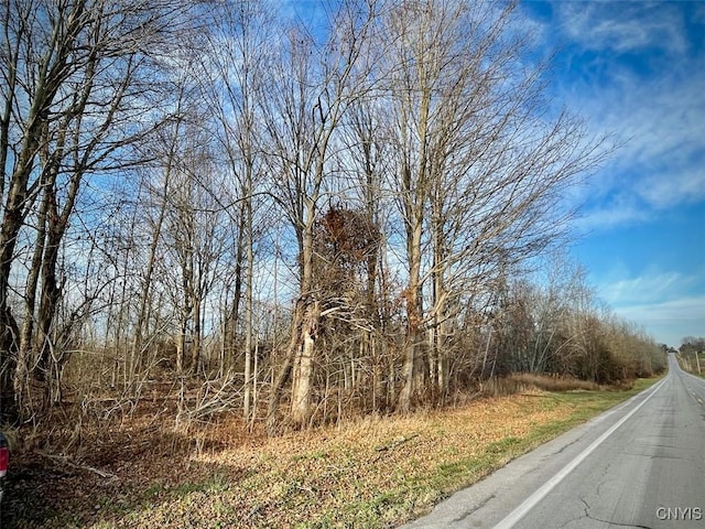 0 State Route 104a Rd, Sterling, NY 13156