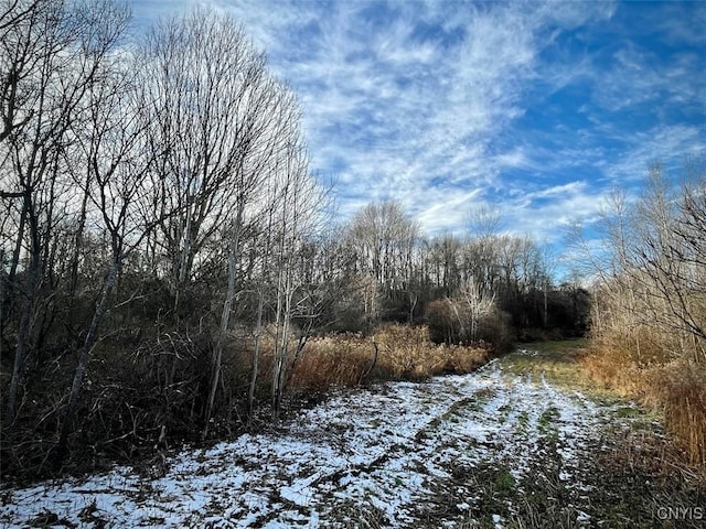 0 State Route 104a Rd, Sterling, NY 13156