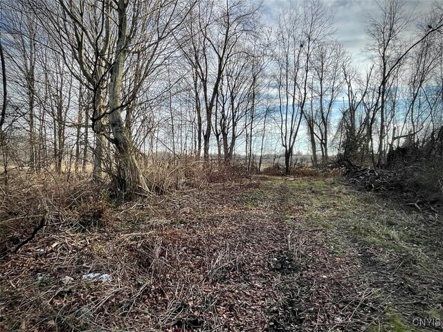0 State Route 104a Rd, Sterling, NY 13156