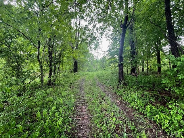 0 State Route 104a Rd, Sterling, NY 13156