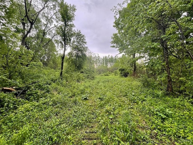 0 State Route 104a Rd, Sterling, NY 13156