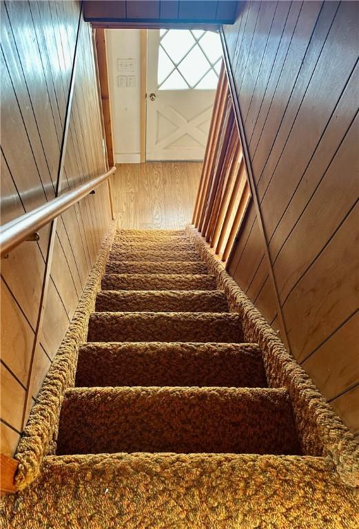 staircase with wood walls