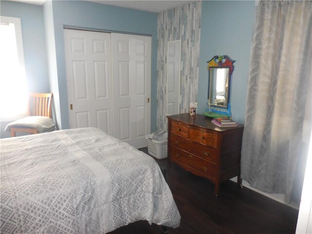 bedroom featuring dark wood-type flooring and a closet