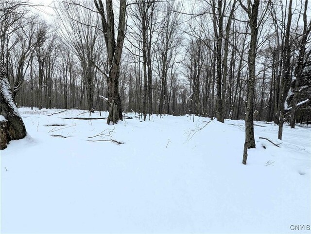 1673 Keenan Rd, West Union, NY 14877 - photo 26
