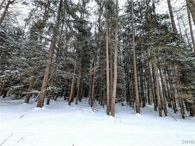 1673 Keenan Rd, West Union, NY 14877 - photo 27