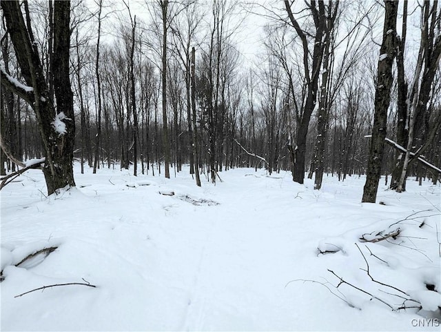1673 Keenan Rd, West Union, NY 14877 - photo 29