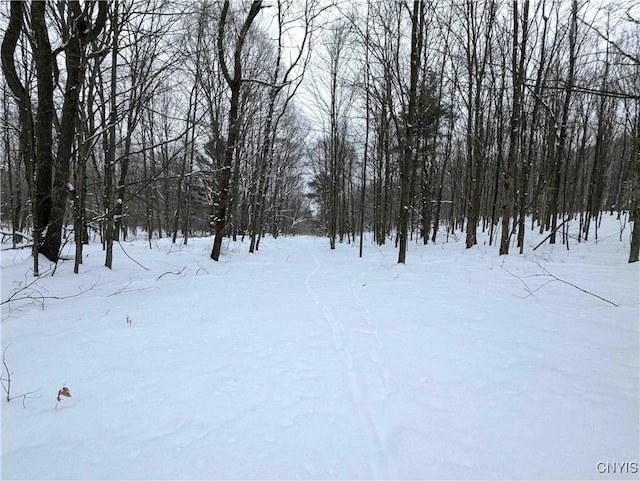 1673 Keenan Rd, West Union, NY 14877 - photo 33