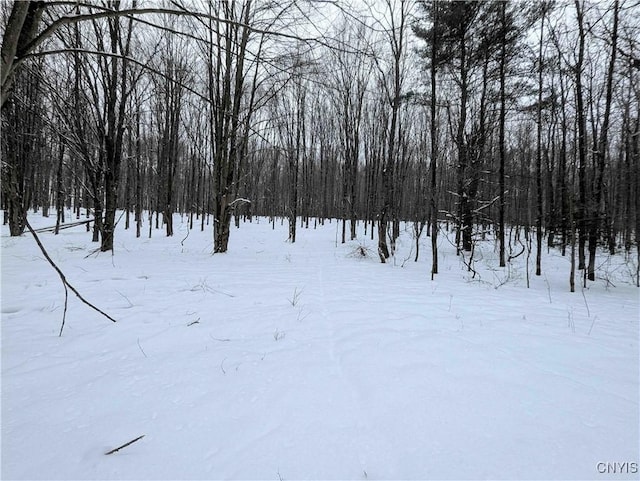 1673 Keenan Rd, West Union, NY 14877 - photo 34
