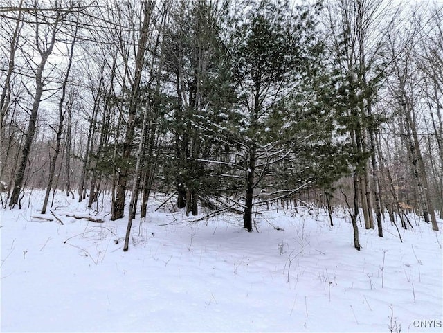1673 Keenan Rd, West Union, NY 14877 - photo 36