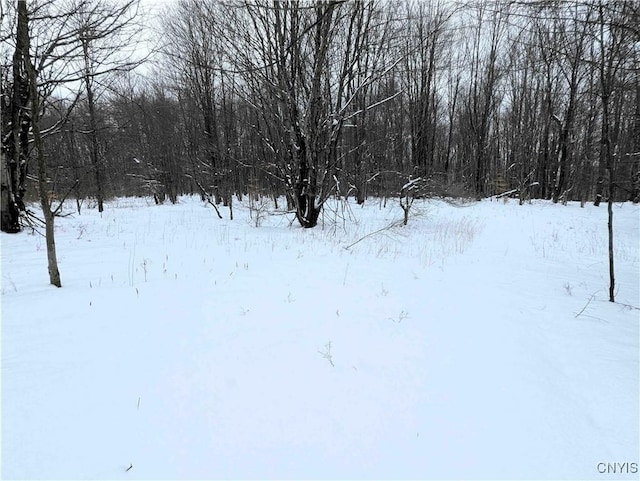 1673 Keenan Rd, West Union, NY 14877 - photo 39