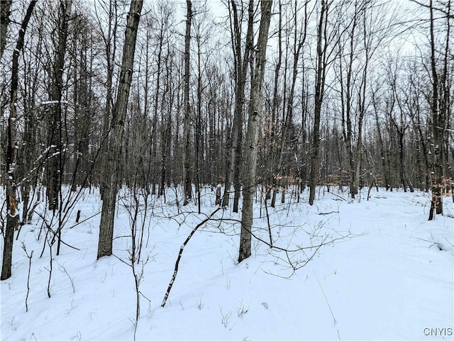 1673 Keenan Rd, West Union, NY 14877 - photo 41