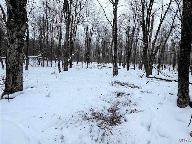 1673 Keenan Rd, West Union, NY 14877 - photo 43
