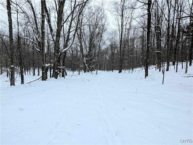 1673 Keenan Rd, West Union, NY 14877 - photo 45