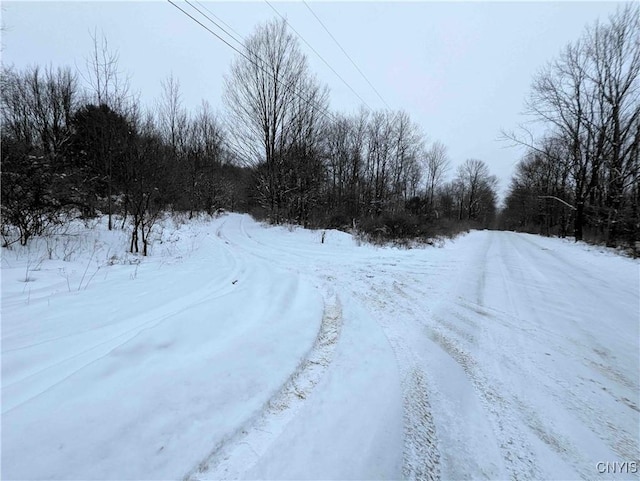 1673 Keenan Rd, West Union, NY 14877 - photo 46