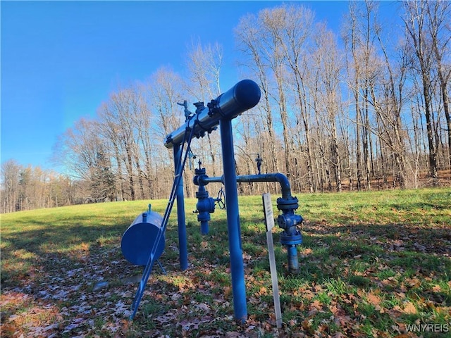 view of property's community featuring a yard